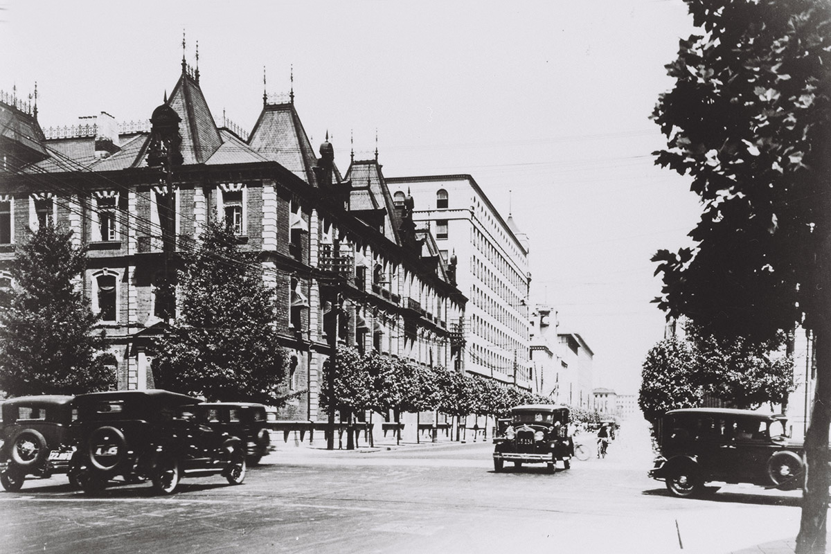 美しい仲通り写真