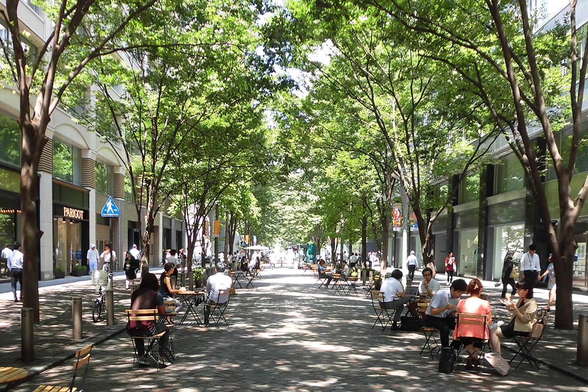 美しい仲通り写真